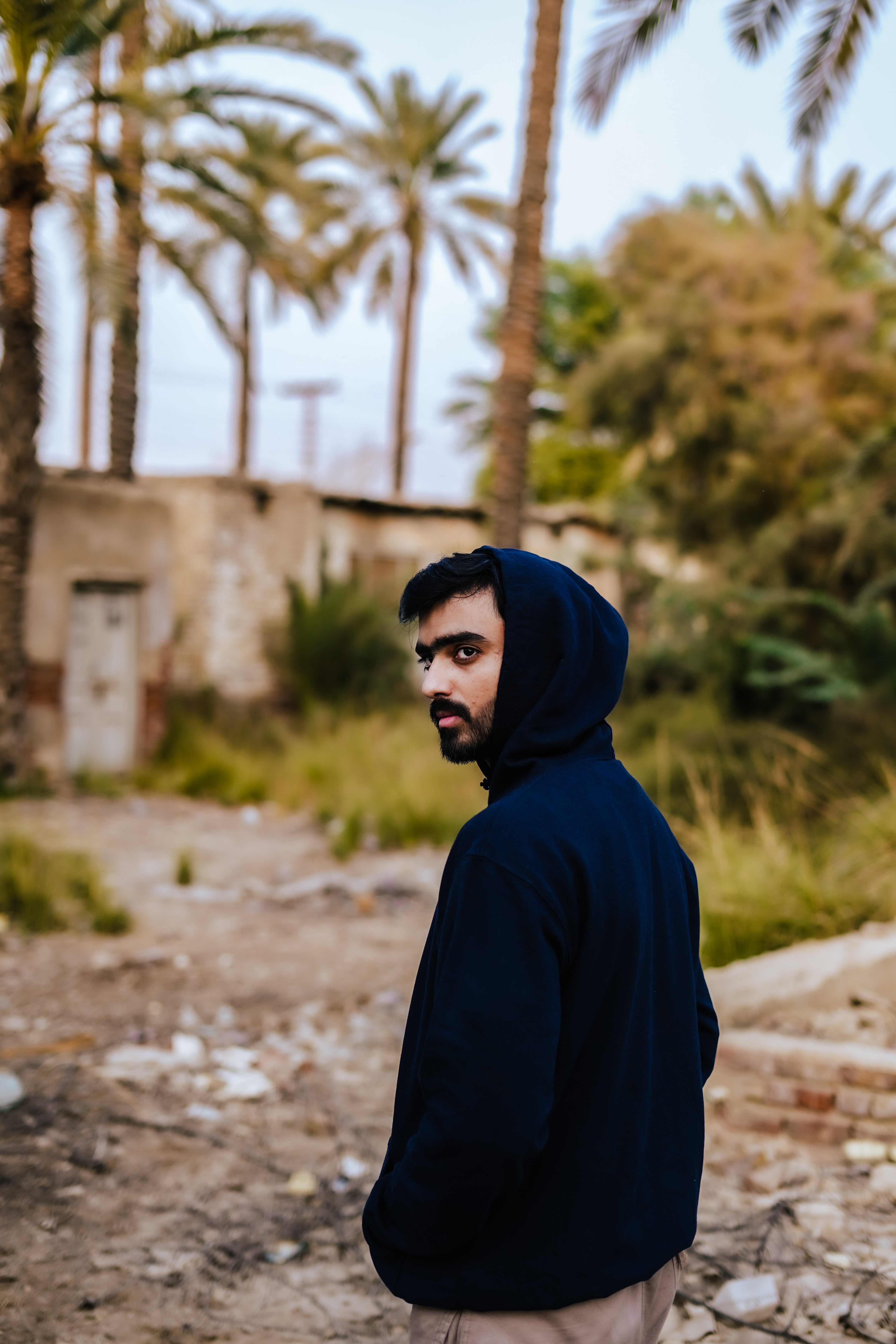 Fearless Lion Graphic Navy Blue Premium Hoodie